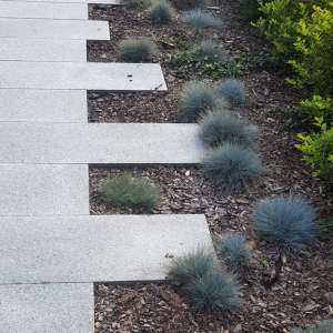 Płyta drogowa granitowa szara płomieniowana Bianco Sardo G602 60x60x6 cm