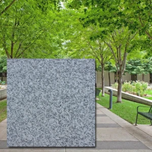 Bianco Sardo G602 2.webp