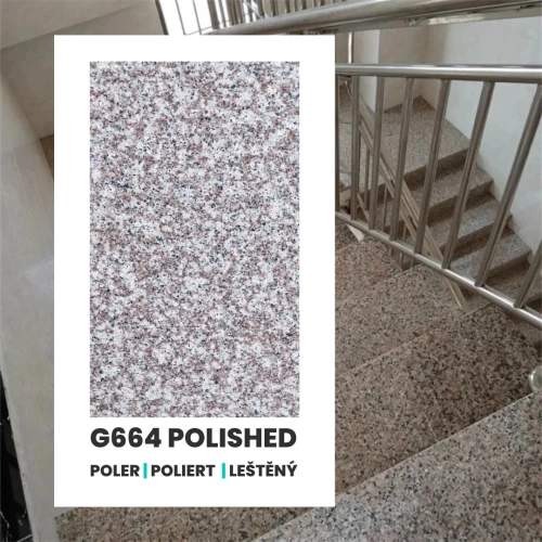 G664 POLER.webp
