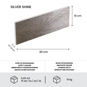Silver Shine Brick 10x30 .webp