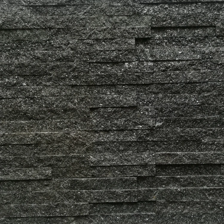 Kamień elewacyjny-dekoracyjny kwarcytowy czarny Stackstone Black 10x36 cm 2