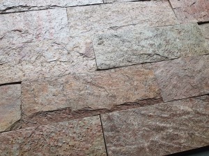 20201015_100439.jpg