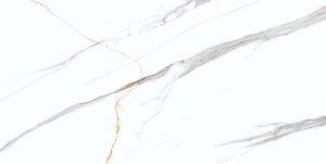 Gres Marble Albatros 120x60 poler