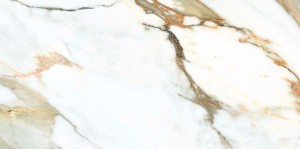 calacatta gold 2.JPG
