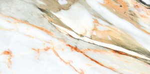 calacatta gold 5.JPG