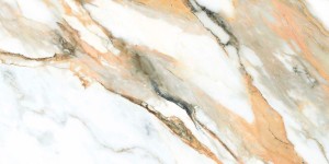 calacatta gold 8.JPG