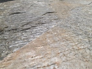 Deoli g. 30x60.jpg
